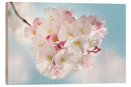 Cuadro de madera Blooming cherry blossoms - Atteloi
