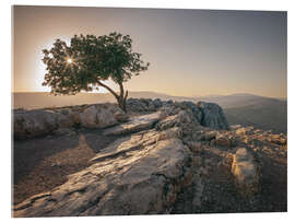 Tableau en verre acrylique Tree on the Arbel mount - Assaf Frank