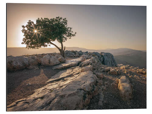 Aluminium print Tree on the Arbel mount