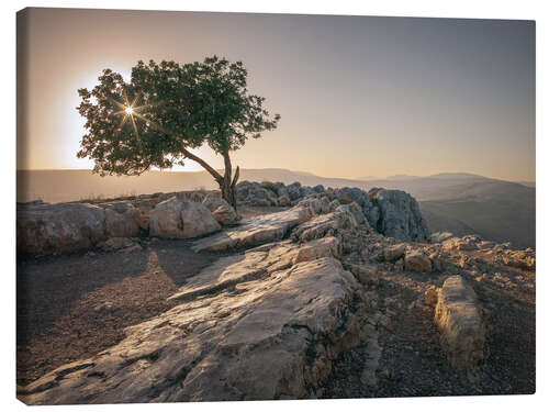Canvas print Tree on the Arbel mount