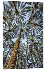 Acrylglas print Under palm trees - Jan Christopher Becke