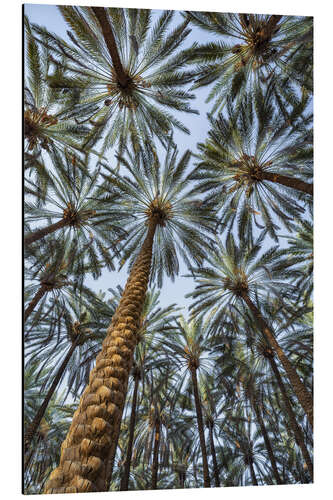 Aluminium print Under palm trees