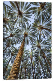 Tableau sur toile Under palm trees - Jan Christopher Becke