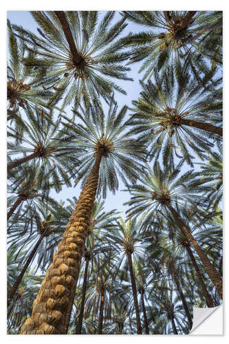 Sticker mural Under palm trees