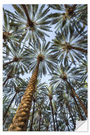 Sticker mural Under palm trees - Jan Christopher Becke