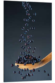 Stampa su alluminio Juniper berries - wild spice in perfect balance - Thomas Klee