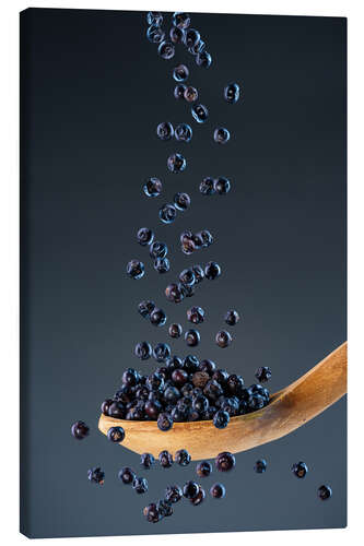 Canvas print Juniper berries - wild spice in perfect balance