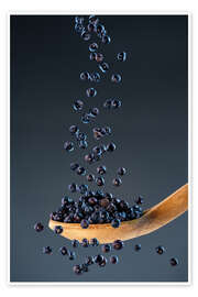 Stampa Juniper berries - wild spice in perfect balance - Thomas Klee