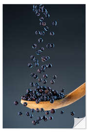 Sticker mural Juniper berries - wild spice in perfect balance - Thomas Klee