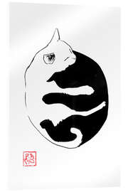 Acrylic print Yin Yang Cat - Péchane