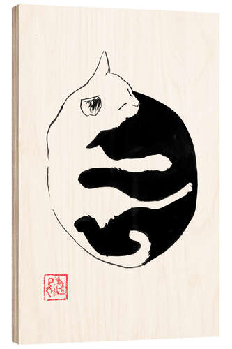 Obraz na drewnie Yin Yang Cat