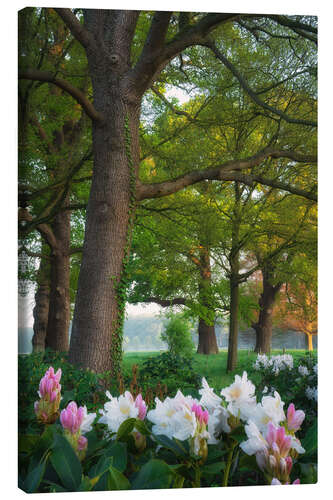 Canvas print Rhododendrons in the forest