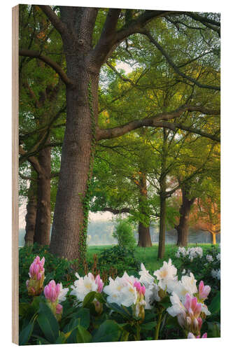Wood print Rhododendrons in the forest