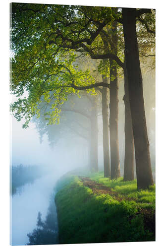 Obraz na szkle akrylowym Fresh green oaks