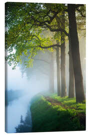 Canvas print Fresh green oaks - Martin Podt