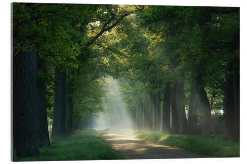 Acrylic print Path of sunrays
