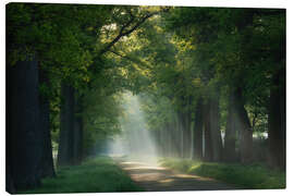 Canvas print Path of sunrays - Martin Podt