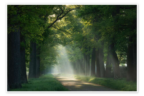Plakat Path of sunrays