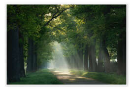 Obraz Path of sunrays - Martin Podt