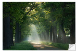 Naklejka na ścianę Path of sunrays - Martin Podt