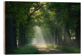 Wood print Path of sunrays - Martin Podt
