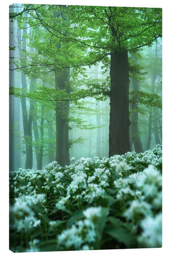 Canvas print Ultimate spring forest