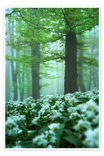 Plakat Ultimate spring forest
