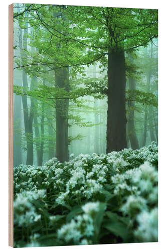 Wood print Ultimate spring forest