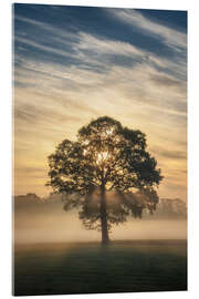 Acrylic print A single tree in the fog - Martin Podt
