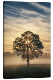 Canvas print A single tree in the fog - Martin Podt