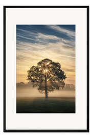 Gerahmter Kunstdruck Ein einzelner Baum im Nebel