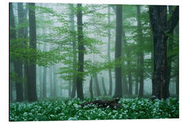 Quadro em alumínio The forest floor is wild garlic - Martin Podt