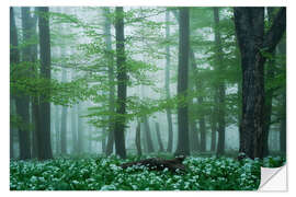Wall sticker The forest floor is wild garlic - Martin Podt