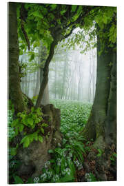 Tableau en verre acrylique The tree frame - Martin Podt