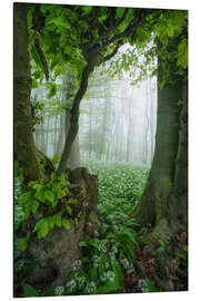 Quadro em alumínio The tree frame - Martin Podt