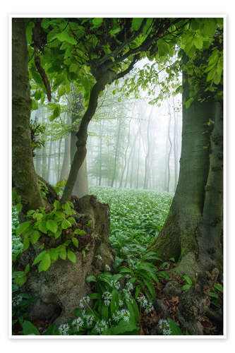Plakat The tree frame