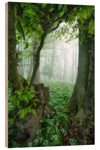 Holzbild Der Baumrahmen