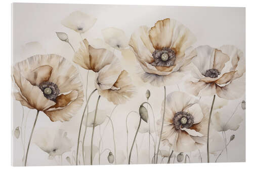 Acrylic print Poppies Summer