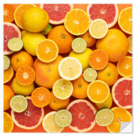 Wall sticker Citrus fruits in square - Thomas Klee