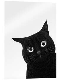 Cuadro de metacrilato Funny peeping black cat - Valeriya Korenkova