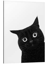 Aluminiumsbilde Funny peeping black cat