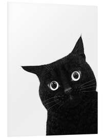 Quadro em PVC Funny peeping black cat - Valeriya Korenkova