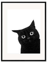 Gerahmter Kunstdruck Lustige guckende schwarze Katze