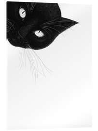 Cuadro de metacrilato Black cat on top - Valeriya Korenkova
