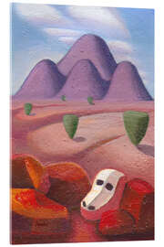 Acrylglasbild Kuhschädel in der Sonora-Wüste - Charles Harker