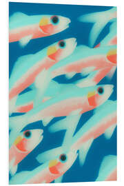 Cuadro de PVC Pastel-coloured fish in magical light - Frank Daske