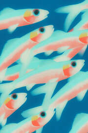 Magnettafel Pastellfarbene Fische im magischen Licht