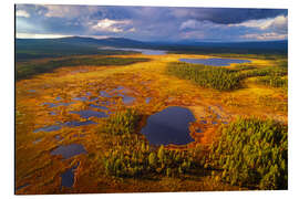 Alubild Lappland im Licht - Dave Derbis