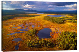 Lienzo Lapland in the light - Dave Derbis