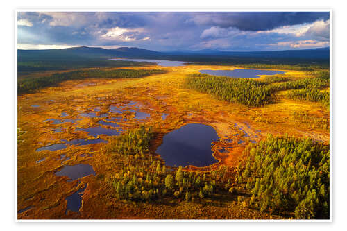 Poster Lapland in the light